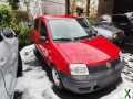 Foto TOP gepflegter Fiat Panda TÜV neu