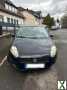 Foto Fiat Punto 1.4 8V Active Active