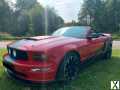 Foto Mustang 540PS Shelby Cobra Jet Cabrio 34Tkm