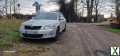 Foto Skoda Octavia 4x4 Laurien Klement