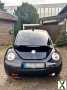 Foto Vw New Beetle Sport