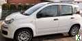 Foto Fiat Panda New 1,2 8V 51 kW (69 PS) Klima 5-türig