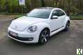 Foto VW New Beetle 1.2 TSI  Top gepflegt Navi Sitzheizung