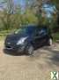 Foto Chevrolet Spark, sportlich, gepflegt, Cityflitzer, Gebrauchtwagen