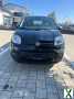 Foto Fiat New Panda 1.2 8V EASY EASY