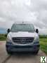 Foto Mercedes-Benz Sprinter 313 BJ2016 EURO6