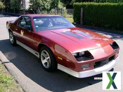 Foto ORIGINAL CAMARO IROC Z-28 5,7 TPI, BJ.89 111.000 km GARANTIERT!